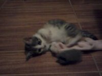 2013-11-19 20.53.10[7].jpg