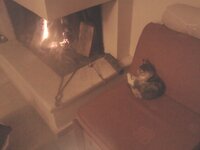 2013-01-04 17.48.57.jpg