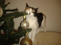 2013-12-09 22.42.38.jpg