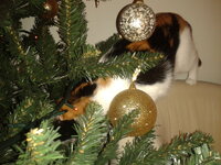 2013-12-09 22.41.39.jpg