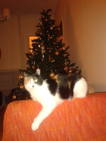 2013-12-09 22.45.40.jpg