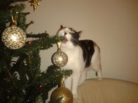 2013-12-09 22.41.55.jpg