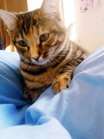 P141213_10.13.jpg P141213_10.13.jpg