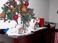 Ο Τζερόνυμο στο δέντρο (4) - Copy.JPG