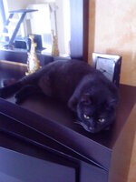 Εικόνα 005.jpg