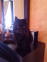 Εικόνα 006.jpg