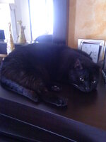 Εικόνα 009.jpg