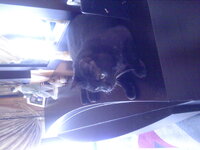 Εικόνα 031.jpg