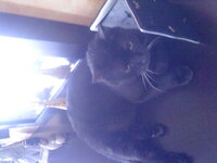 Εικόνα 033.jpg