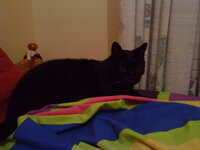 Εικόνα 039.jpg