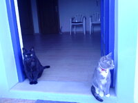 Εικόνα 047.jpg