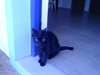 Εικόνα 044.jpg