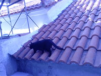 Εικόνα 051.jpg