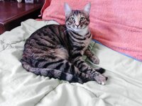 P151213_11.45.jpg P151213_11.45.jpg