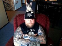 metal-cats-alexandra-crockett-1.jpg