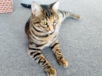 P150414_09.20.jpg P150414_09.20.jpg