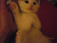 P5030577.jpg P5030577.jpg