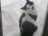 Φωτογρα φία0499_ 001_001_001.jpg