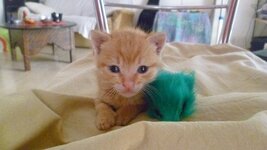 P1030395.jpg P1030395.jpg