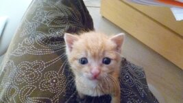 P1030384.jpg P1030384.jpg