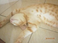 P7300876.jpg P7300876.jpg