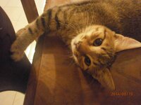 P8190917.jpg P8190917.jpg