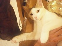 P8190925.jpg P8190925.jpg