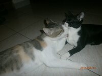 P8100894.jpg P8100894.jpg