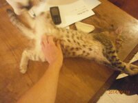 P8190920.jpg P8190920.jpg