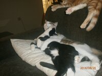 P8200947.jpg P8200947.jpg