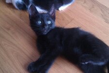 Download 6-1-13 164.jpg