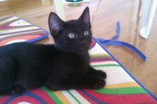 Download 6-1-13 153.jpg