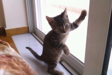 Download 6-1-13 152.jpg