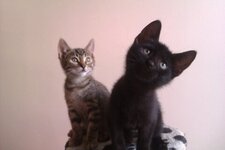 Download 6-1-13 166.jpg