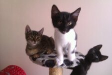 Download 6-1-13 170.jpg