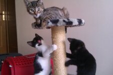 Download 6-1-13 189.jpg