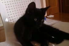 Download 6-1-13 196.jpg