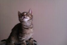 Download 6-1-13 197.jpg