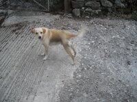 DSCN4003.jpg DSCN4003.jpg