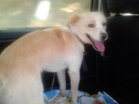 2014-07-13 11.50.46.jpg 2014-07-13 11.50.46.jpg