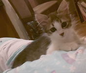 2014-10-15 20.05.20.png