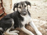 Φλώρα.jpg Φλώρα.jpg