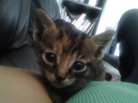 2014-10-23 16.46.06.jpg