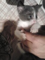 2014-10-30 20.05.55.jpg