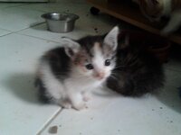 2014-10-29 10.12.08.jpg