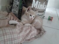 2014-10-30 16.06.02.jpg