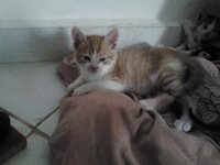 2014-10-30 16.06.18.jpg