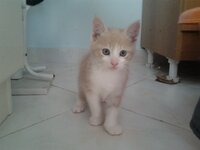 2014-11-10 15.40.54.jpg