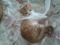 2014-11-25 12.49.01.jpg