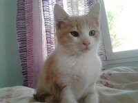 2014-11-25 12.50.18.jpg